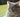 Aanhankelijke en knuffelbare kattenrassen - Huisdierplezier