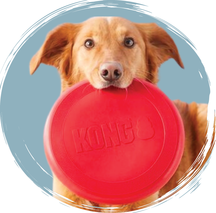 Kong hondenspeelgoed frisbee