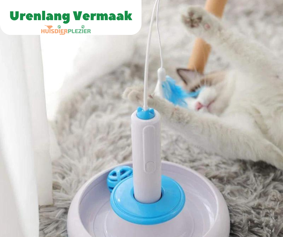 Interactief kattenspeeltje kat Carousel - Huisdierplezier